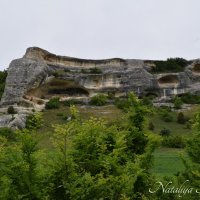 Природа Крыма :: Amazing Cosmea