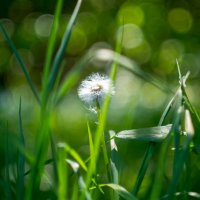 ___ :: Yuriy V ___ :: Yuriy V