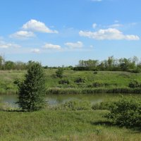 У реки. :: Виктор 