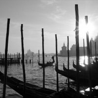 Серенада :: Вера 