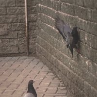 Кирпич :: Евгения Мокшина