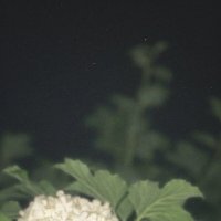 Ночь :: Евгения Мокшина