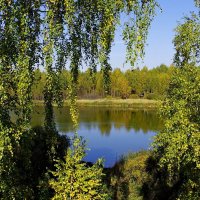 На берегу озера :: Сергей Швечков