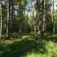 Разъиюнилось :: Андрей Лукьянов Разъиюнилось :: Андрей Лукьянов