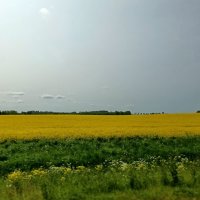 Далеко ли от Таллина ... :: Veera V