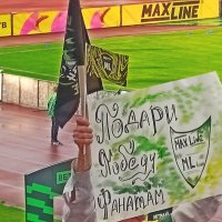 Болельщицкие  страсти... :: Vladimir Semenchukov