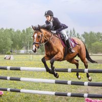 Конкур :: SanSan 