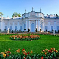 Китайский дворец с обратной стороны. :: Лия ☼
