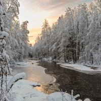 Линдуловская роща :: skijumper Иванов