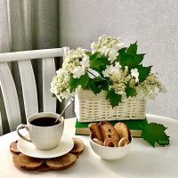 Доброе утро) :: Альбина 