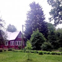 Дачный пейзаж. :: Ольга Довженко