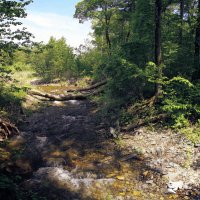 Пейзаж :: Эдуард Куклин Пейзаж :: Эдуард Куклин