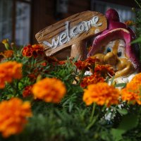 Фигурка гномика :: Сергей Швечков