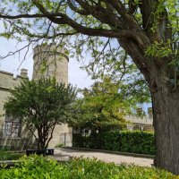 Воронцовский дворец :: Валерий Ткаченко