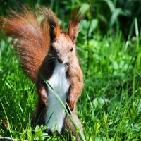 Прогулка :: Юрий. Шмаков