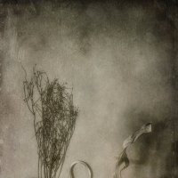 *** :: Oleg Rastorguev