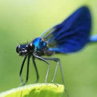 из снятого сегодня 5 :: Александр Прокудин из снятого сегодня 5 :: Александр Прокудин