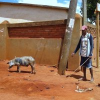 На прогулке. :: unix (Илья Утропов) На прогулке. :: unix (Илья Утропов)