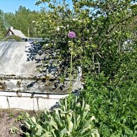 Все выше и выше...) :: Veera V Все выше и выше...) :: Veera V