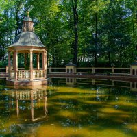 Летний сад :: Сергей Михайлов Летний сад :: Сергей Михайлов