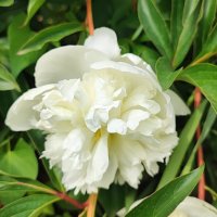 ,,, :: Сергей Тимоновский ,,, :: Сергей Тимоновский