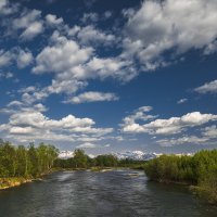 ... :: Жора Житников