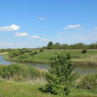 У реки. :: Виктор 