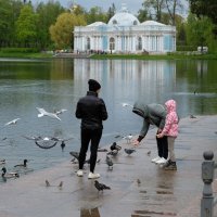 "Второй" завтрак у пернатых.. :: Алекс Б-в