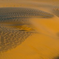 Дюны пустыни Саха (2) :: Георгий А Дюны пустыни Саха (2) :: Георгий А