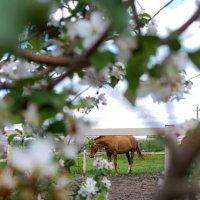 Где то за городом.. :: Мария Реброва