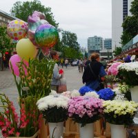 Улица Виру превратилась в цветник.. :: Aida10 