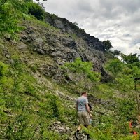 ПЛАСТУНКА-СОЧИ :: Tata Wolf