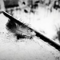 .. .. .. :: Руслан 