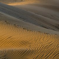 Дюны пустыни Саха (3) :: Георгий А