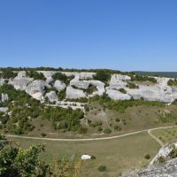Природа Крыма :: Amazing Cosmea