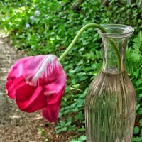 Спасённый найдёныш! :: veilins veilins