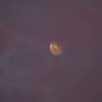 Луна в тумане :: Георгий А