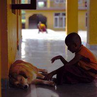 Надо чтобы хоть кого-то можно было приласкать :: liudmila drake Надо чтобы хоть кого-то можно было приласкать :: liudmila drake