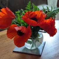 Букетик :: Валентина Богатко 