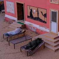 Охранники охраняют палаточный лагер в пустыне :: Георгий А Охранники охраняют палаточный лагер в пустыне :: Георгий А