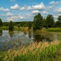 Июньское утро :: Андрей Дворников Июньское утро :: Андрей Дворников