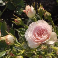 Talgar. :: Murat Bukaev 