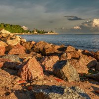 Про Питер :: Владимир Колесников