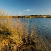 В марте... :: Николай Гирш