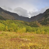 Золотая осень :: Марина Виноградова