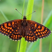 из вчерашней съёмки 4 :: Александр Прокудин