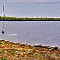 Июнь...Рыбалка на Юганской Оби. :: Владимир 