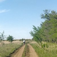 Дороги велотуризма :: Андрей Хлопонин