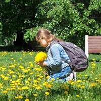 букет для мамы :: ИРЭН@ .