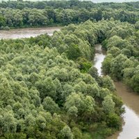 Протока и река Кубань :: Игорь Сикорский